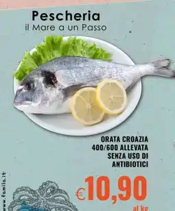Famila Orata (Croazia) offerta