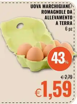 Famila Uova Marchigiane/Romagnole da Allevamento a Terra offerta