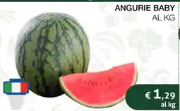 Coop ANGURIE BABY offerta