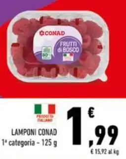 Conad Lamponi conad 1ª categoria offerta