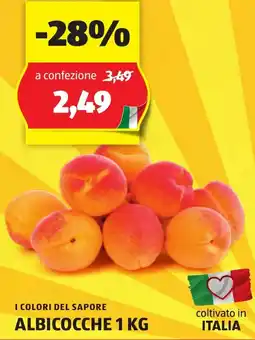 ALDI I colori del sapore albicocche offerta