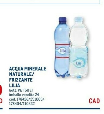 Metro Acqua minerale naturale 500 g(ml) offerta