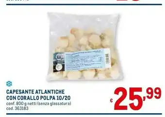Capesante atlantiche con corallo polpa 10/20