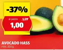 ALDI Avocado hass offerta