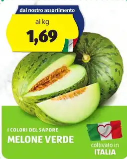 ALDI I colori del sapore melone verde offerta