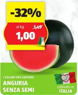 ALDI I colori del sapore anguria senza semi offerta