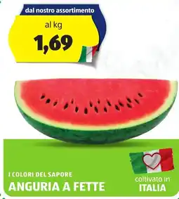 ALDI I colori del sapore anguria a fette offerta