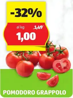 ALDI Pomodoro grappolo offerta