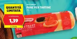 ALDI Daily bread pane per tartine offerta