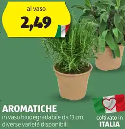 ALDI Aromatiche offerta