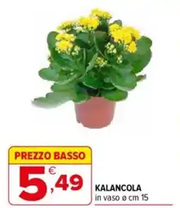 Iperal Kalancola offerta