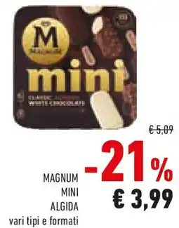 Conad Magnum mini algida vari tipi e formati offerta