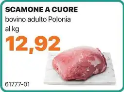 GrosMarket SCAMONE A CUORE bovino adulto Polonia offerta