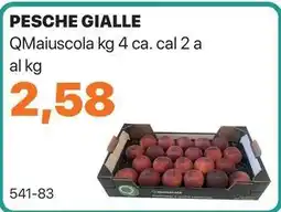 GrosMarket PESCHE GIALLE QMaiuscola offerta