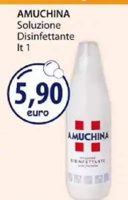 Acqua & Sapone AMUCHINA offerta
