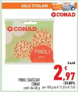 Conad Superstore Pinoli Sgusciati Conad offerta