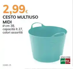 Basko Cesto multiuso midi offerta