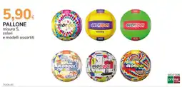 Basko Pallone offerta