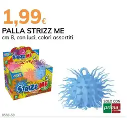Basko Palla strizz me offerta