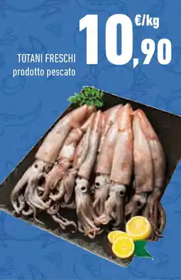Conad Conad totani freschi offerta