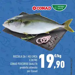 Conad Conad percorso qualità offerta