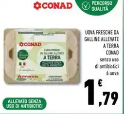 Conad Conad uova fresche da galline allevate a terra offerta