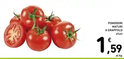 Pomodori maturi a grappolo