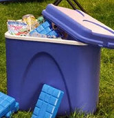 Action Frigo portatile offerta