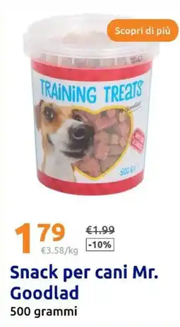 Action Mr. Goodlad Scopri di più Snack per cani offerta