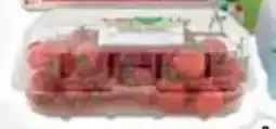 Conad Conad percorso qualità pomodoro datterino offerta