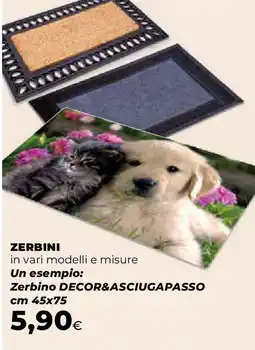 Extracoop Zerbini offerta
