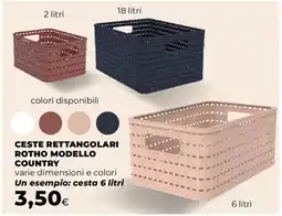 Extracoop Ceste rettangolari rotho modello country offerta