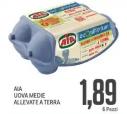 Supermercati Piccolo Aia uova medie allevate a terra offerta