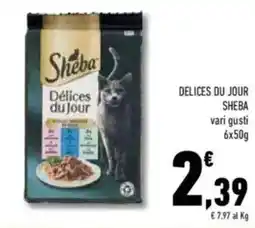 Conad Sheba delices du jour offerta