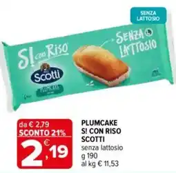 Iperal Scotti plumcake s! con riso offerta