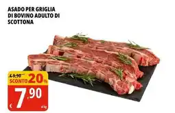 Tigros Asado per griglia di bovino adulto di scottona offerta