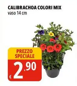 Tigros Calibrachoa colori mix offerta