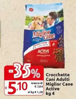 Crocchette Cani Adulti Miglior Cane Active kg 4