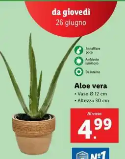 Lidl Aloe Vera offerta
