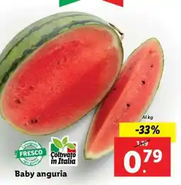 Lidl Baby Anguria offerta