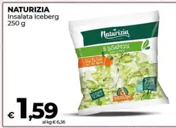 Coop Naturizia Insalata Iceberg offerta