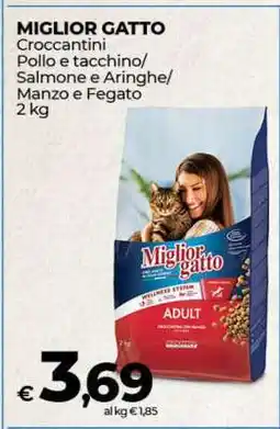 Coop Miglior Gatto offerta