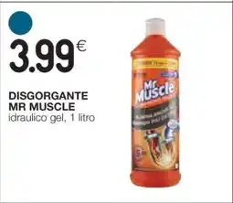 Coop DISGORGANTE MR MUSCLE offerta