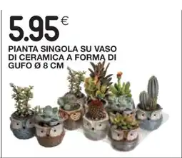 Coop Pianta singola su vaso di ceramica a forma di gufo Ø 8 cm offerta