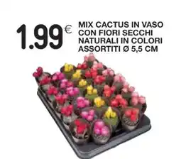 Coop Mix Cactus in Vaso offerta