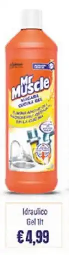 Coal Mr Muscle Idraulico Gel offerta