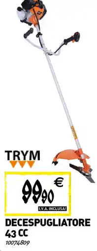 Tecnomat TRYM Decespugliatore 43 CC offerta