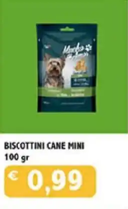 Coal Biscottini cane mini offerta