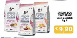 Coal Special dog excellence offerta