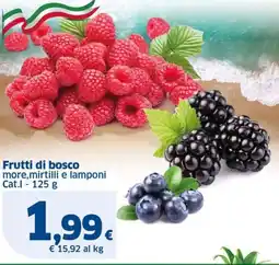 Sigma Frutti di bosco offerta